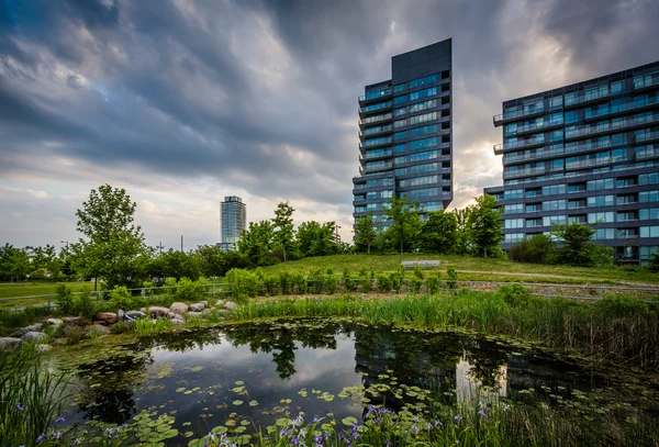 Teich und moderne Gebäude in Corktown gemeinsam, in toronto, ontari — Stockfoto