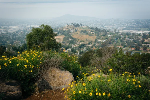 Flores y vista desde Mount Helix, en La Mesa, California . —  Fotos de Stock