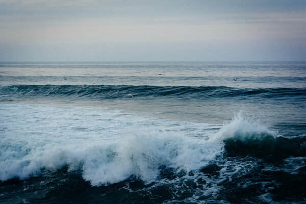 Waves in the Pacific Ocean, in La Jolla, California.