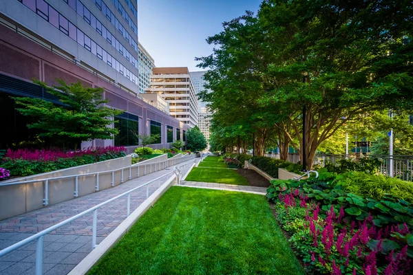 Gärten entlang eines Gehwegs und moderne Gebäude in rosslyn, arlingt — Stockfoto