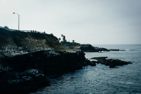 Вид на скелястому Тихоокеанського узбережжя в Ла-Хойя, Каліфорнія. — стокове фото