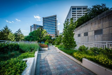 Bir geçit ve modern binalar Rosslyn, Arlingt bahçeleri
