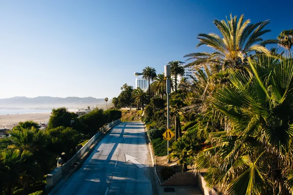 Vista de una carretera y palmeras en Santa Mónica, California . — Foto de Stock