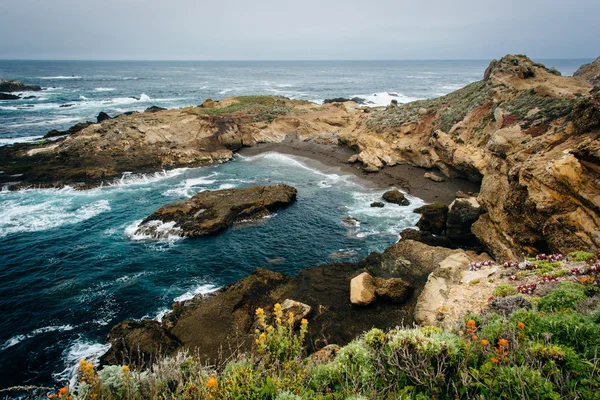 Uitzicht op een kleine inham bij Point Lobos staat Natural Reserve, in Ca — Stockfoto