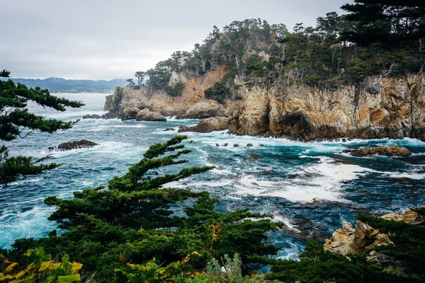 View of rocky coast at Point Lobos State Natural Reserve, in Car — Stock Photo, Image