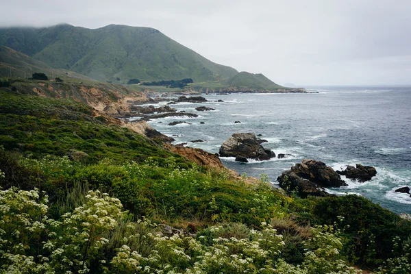 View of the Pacific Ocean and   mountains at Garrapata State Par — Stock Photo, Image