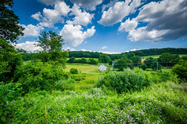 View of fields near Glen Rock, in York County, Pennsylvania. — Stock Photo, Image