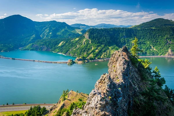 View of the Columbia River from Mitchell Point, Columbia River G — Stock Photo, Image
