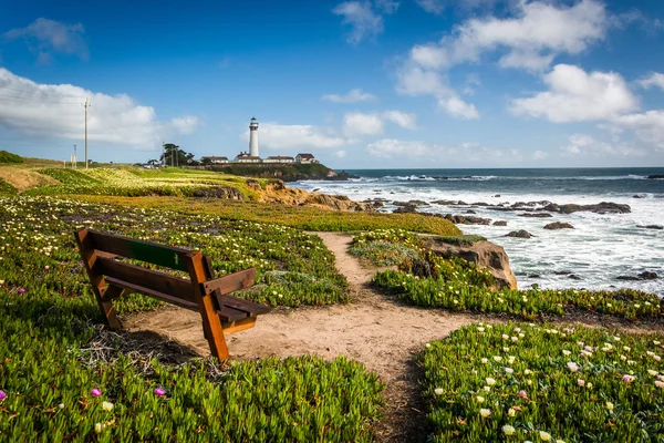Bänk och syn på Piegon Point Lighthouse i Pescadero, Californ — Stockfoto