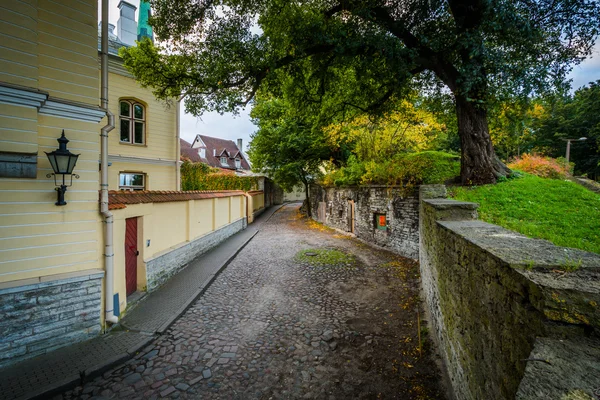 Stretto ciottoli strada e muro nel centro storico, Tallinn, Est — Foto Stock