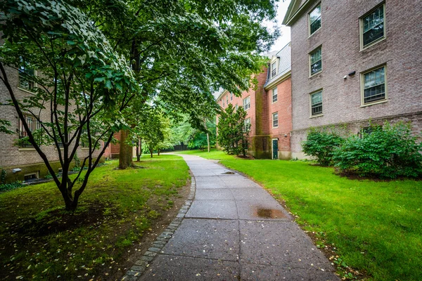 Edifici e passerelle nel campus della Brown University, in Pro — Foto Stock