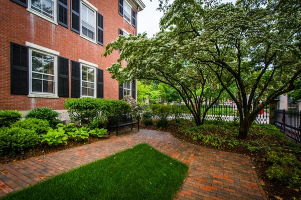 Walkways and brick building on the campus of Brown University, i — Stock Photo, Image