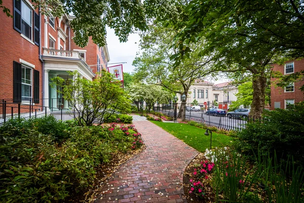 Gardens outside the Brown University Alumni Association Building — Stock Photo, Image