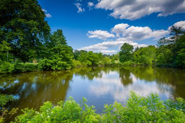 Hartford, Connecticut yılında Elizabeth Park su birikintisi.