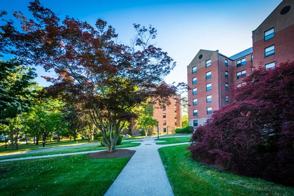 Gehweg und Gebäude am Providence College, in Providence, Rhod — Stockfoto