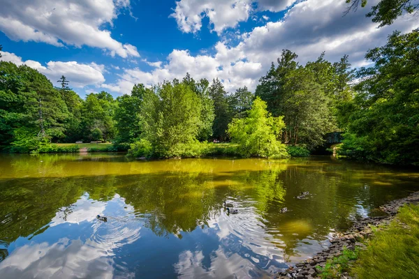 Pond at Elizabeth Park, in Hartford, Connecticut. — Stock Photo, Image