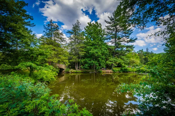 Pond at Elizabeth Park, in Hartford, Connecticut. — Stock Photo, Image