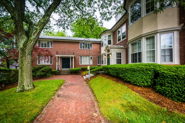 Brick buildings and walkway on the campus of Brown University, i — Stock Photo, Image