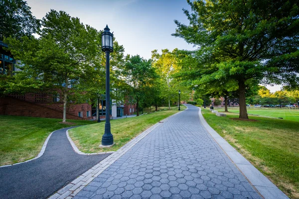 Walkways at Trinity College, in Hartford, Connecticut. — Stock Photo, Image