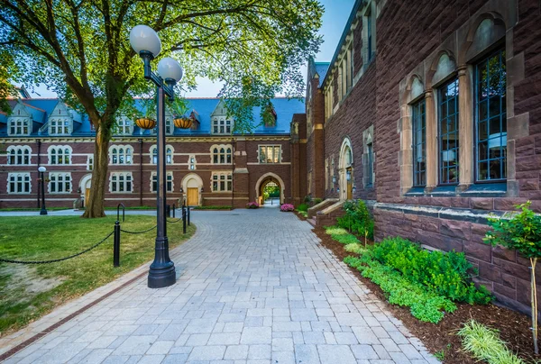 Gångväg och Long Walk byggnaderna vid Trinity College, i Hartf — Stockfoto