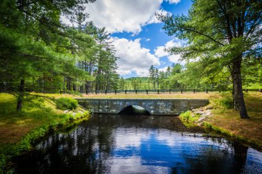 Bridge over a pond at Bear Brook State Park, New Hampshire. clipart