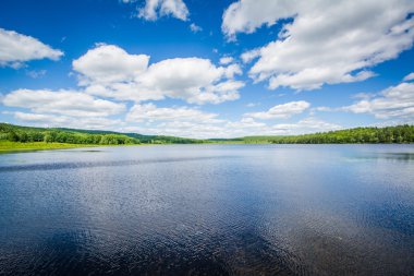 Kaplumbağa gölet, Concord, New Hampshire.