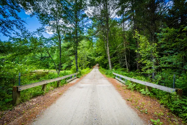 Most na potoku w lesie niedźwiedzia Brook State Park, nowy — Zdjęcie stockowe