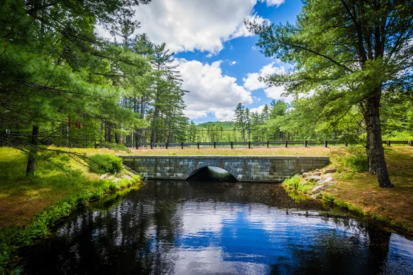 Most přes rybník na medvědí potok státní Park, New Hampshire. — Stock fotografie