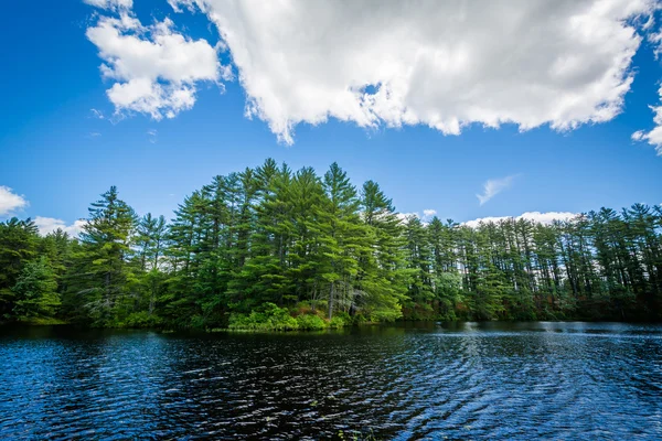 Lago a Bear Brook State Park, New Hampshire . — Foto Stock