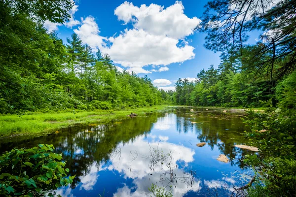 Malý rybníček v medvědí potok státní Park, New Hampshire. — Stock fotografie
