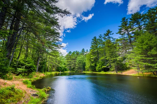 A lagoa de tiro com arco no Bear Brook State Park, New Hampshire . — Fotografia de Stock