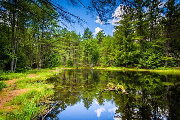 The Archery Pond at Bear Brook State Park, New Hampshire. — Stock Photo, Image