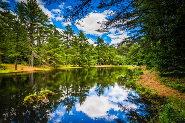 El Estanque de Tiro con Arco en el Parque Estatal Bear Brook, New Hampshire . — Foto de Stock