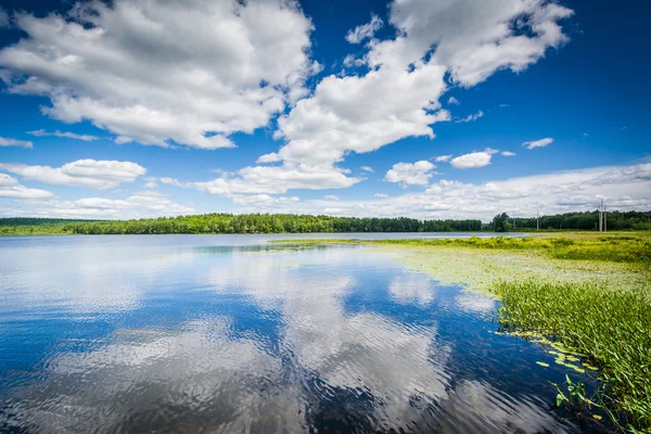 A Lagoa da Tartaruga, em Concord, New Hampshire . — Fotografia de Stock