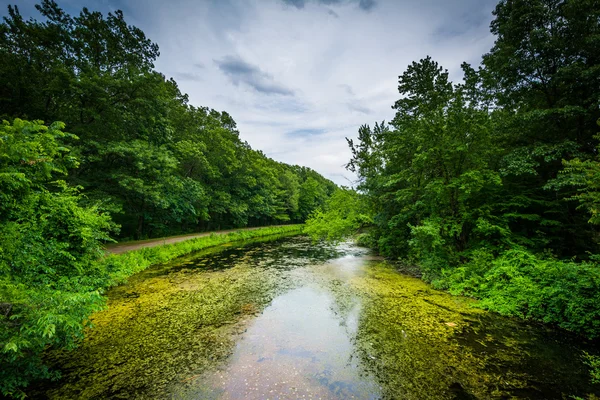 O rio Nashua no Mine Falls Park em Nashua, New Hampshire . — Fotografia de Stock