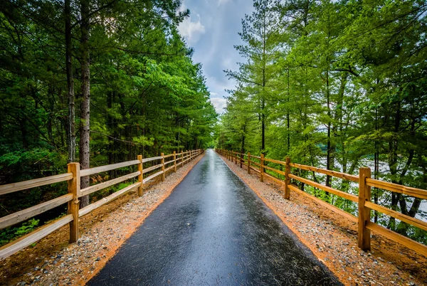 The Piscataquog Trail, in Manchester, New Hampshire. — Stock Photo, Image