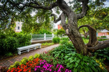 Prescott Park, Portsmouth, New Hampshire bahçeleri.