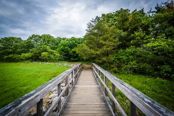 Boardwalk trail at Odiorne Point State Park, in Rye, New Hampshi — Stock Photo, Image