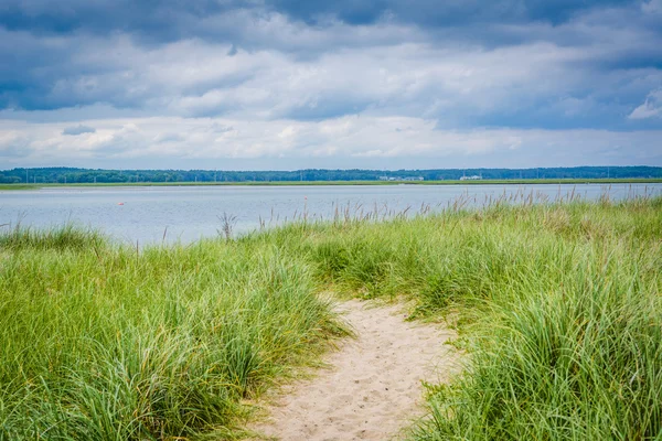 草和沙质路径在新罕布什尔州汉普顿海滩. — 图库照片