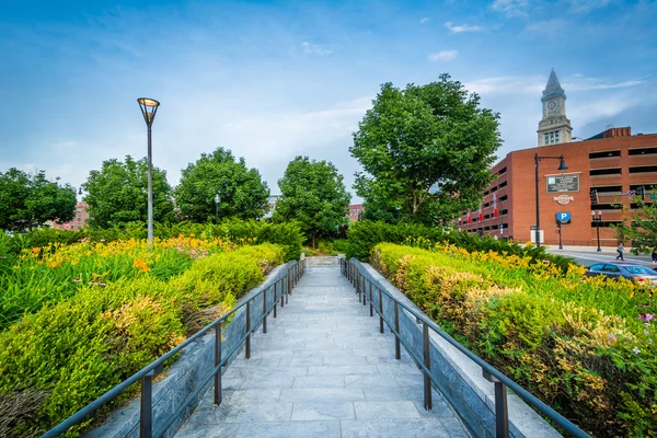 Gångväg och trädgårdar i North End Park med utsikt över byggnader i — Stockfoto