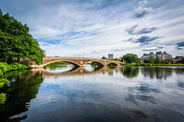 Джон W тижнів міст і Charles River в Кембриджі, Massachu — стокове фото