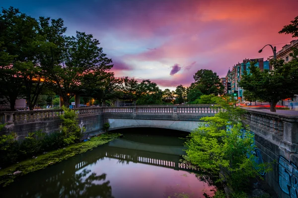 Pôr do sol sobre Commonwealth Avenue em Charlesgate Park, em Back Bay — Fotografia de Stock