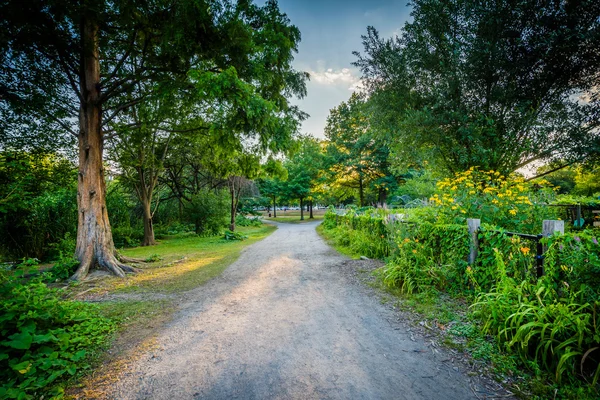 Прогулка и сады в Бэк-Бей-Фенс, Бостон, штат Массачусетс . — стоковое фото