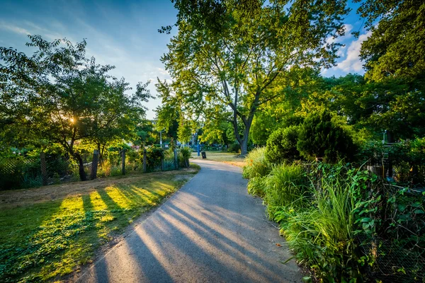 Pasarela y árboles en Back Bay Fens, en Boston, Massachusetts . — Foto de Stock