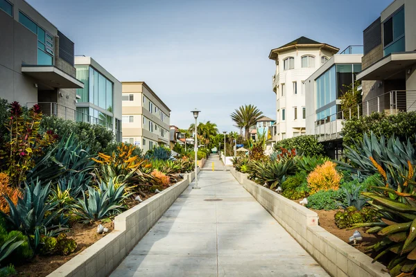 Jardines y edificios a lo largo de una pasarela en Venice Beach, Los Angel — Foto de Stock