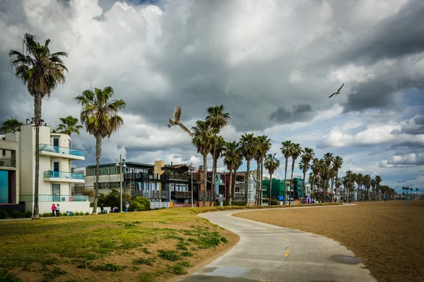 Carriles bici a lo largo de la playa en Venice Beach, Los Ángeles, California — Foto de Stock
