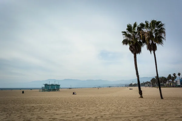 ベニス ・ ビーチ、ロサンゼルス、カルフォルニア州のビーチでヤシの木 — ストック写真
