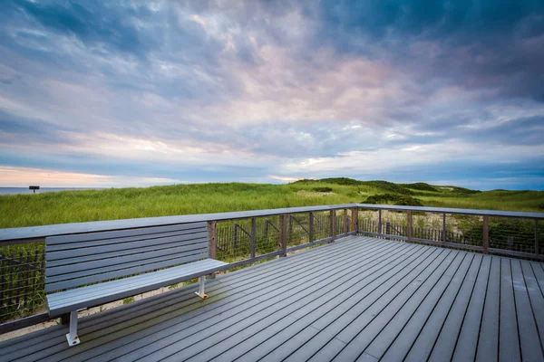 Bench and sand dunes at sunset, at Herring Cove Beach, in the Pr — Stock Photo, Image