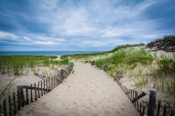 Fence and path through sand dunes at Race Point, in the Province — Stock Photo, Image