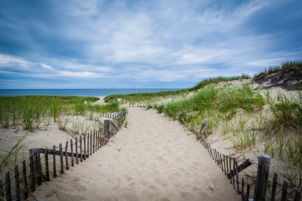 รั้วและเส้นทางผ่านเนินทรายที่ Race Point ในจังหวัด — ภาพถ่ายสต็อก